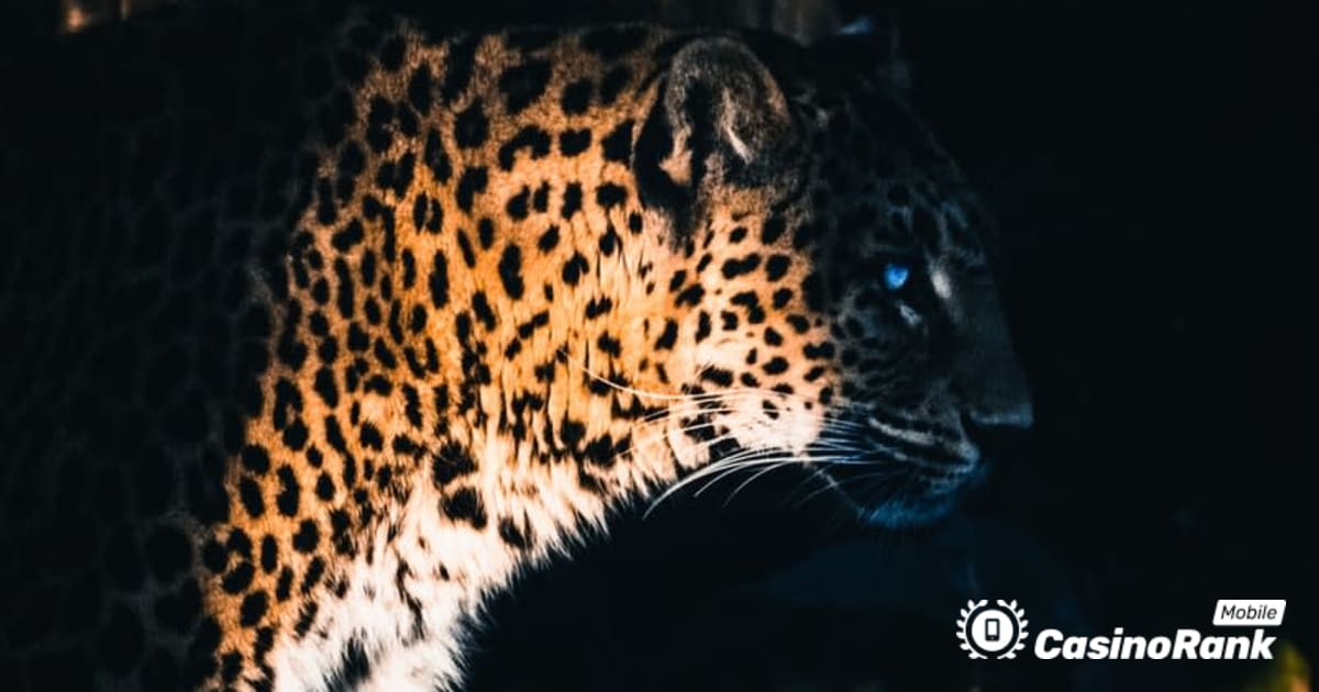 Yggdrasil Partners ReelPlay เพื่อปล่อย Jaguar SuperWays จาก Bad Dingo